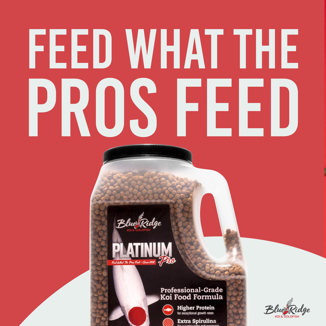 Blue Ridge Koi Fish Food 4.5lb - Koi Food 3/16” Platinum Pro Formula Goldfish Food, Premium Fish Food for Ponds, Floating Pond Pellets Fish Food