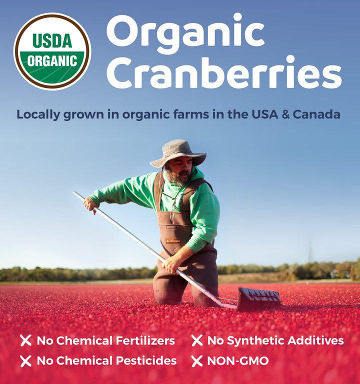 Organic Cranberry Pills - 50:1 Concentrate Equals 25,00