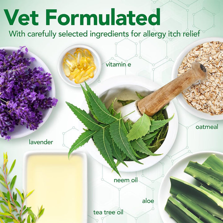 Vet&#39;s Best Allergy Itch Relief Dog Shampoo | Cleans and Relieves Discomfort from Seasonal Allergies | Gentle Formula | 16 Oz
