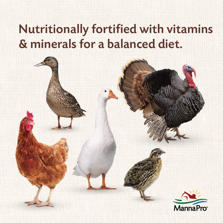 Manna Pro All Flock with Probiotics Crumble | Formulated with Vitamins and Minerals to Support a Balanced Diet | 8 Pounds