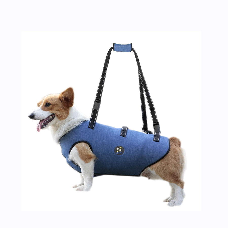 Dog Lift Harness, Pet Support & Rehabilitation Sling Lift Adjustable Padded Breathable Straps for Old, Disabled, Joint Injuries, Arthritis, Loss of Stability Dogs Walk (Blue, S)