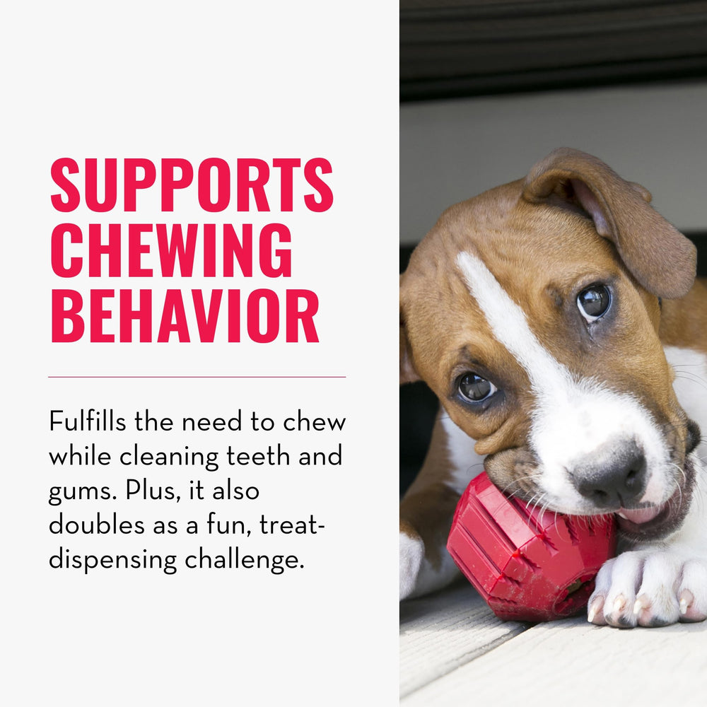 Stuff-A-Ball - Durable, Natural Rubber Chew Toy for Dogs - Dental Health Pet Toy for Chewing & Teeth Cleaning - Stuffable for Treats & Snacks - for Large Dogs