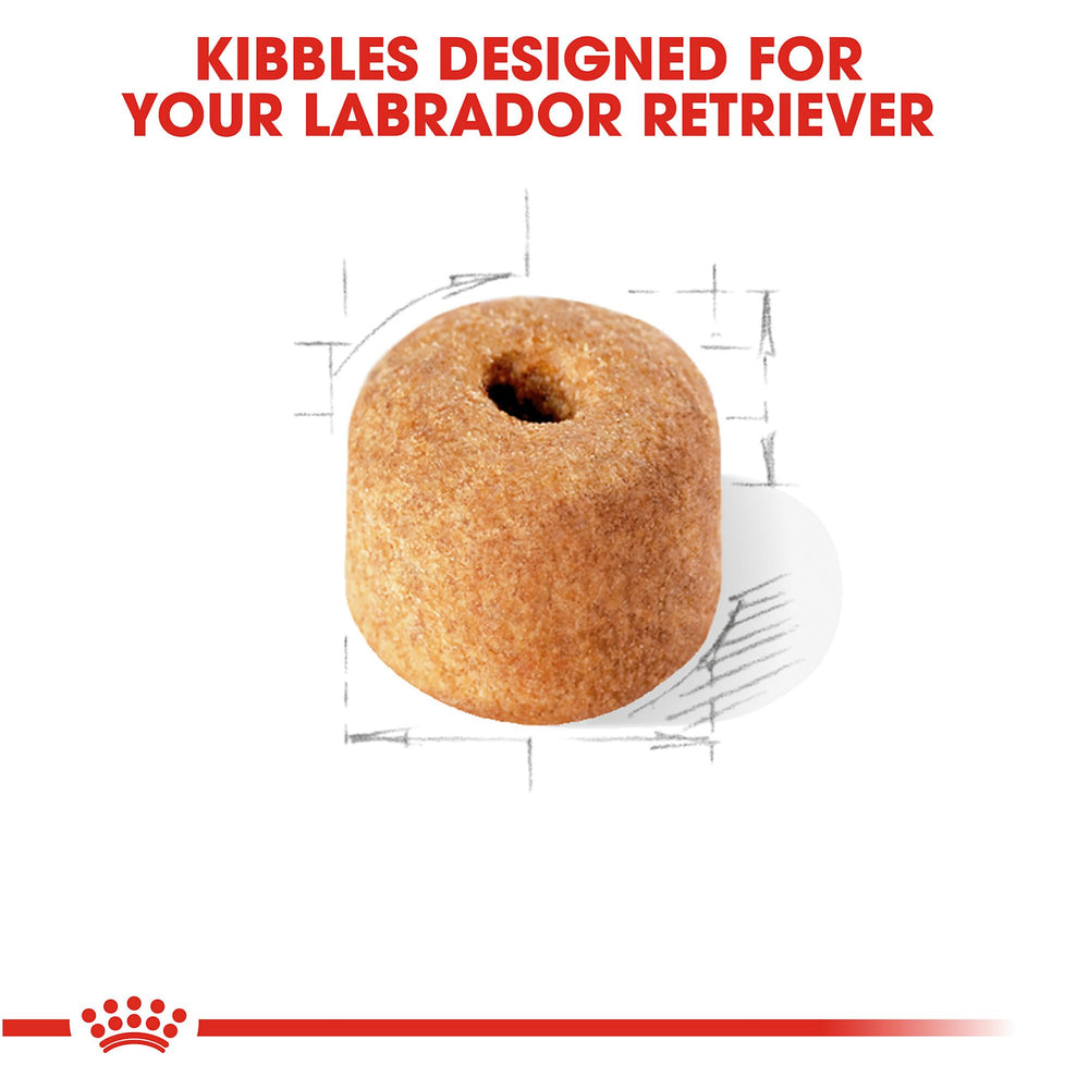 Labrador Retriever Adult Dry Dog Food, 30 lb bag