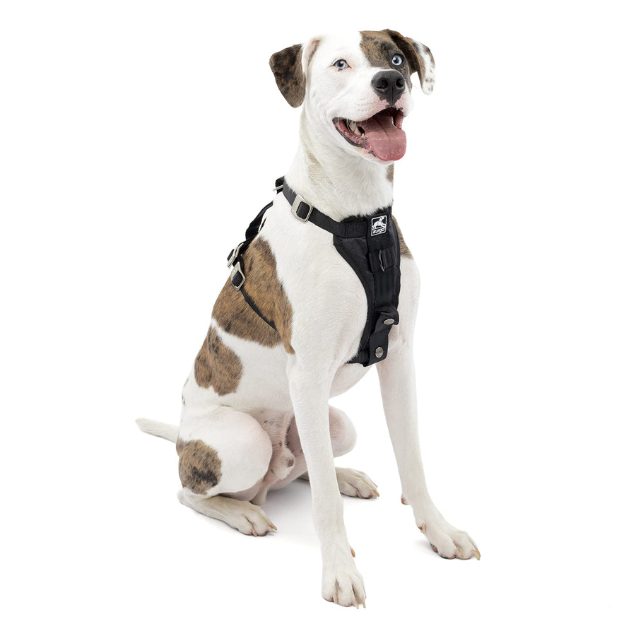 Tru-Fit Enhanced Strength Dog Harness - Crash Tested Car Safety Harness for Dogs, No Pull Dog Harness, Includes Pet Safety Seat Belt (Black, Medium)