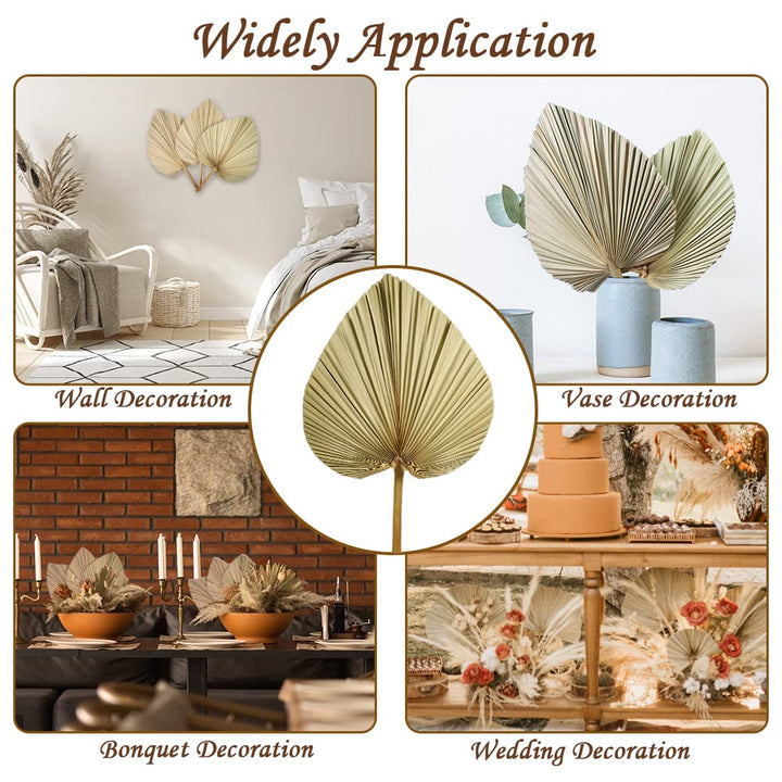 5 Pieces Dried Palm Leaves Natural Dried Palm Fans, 18 Inch Large Boho Dry Leaves Decor for Home Kitchen Wedding