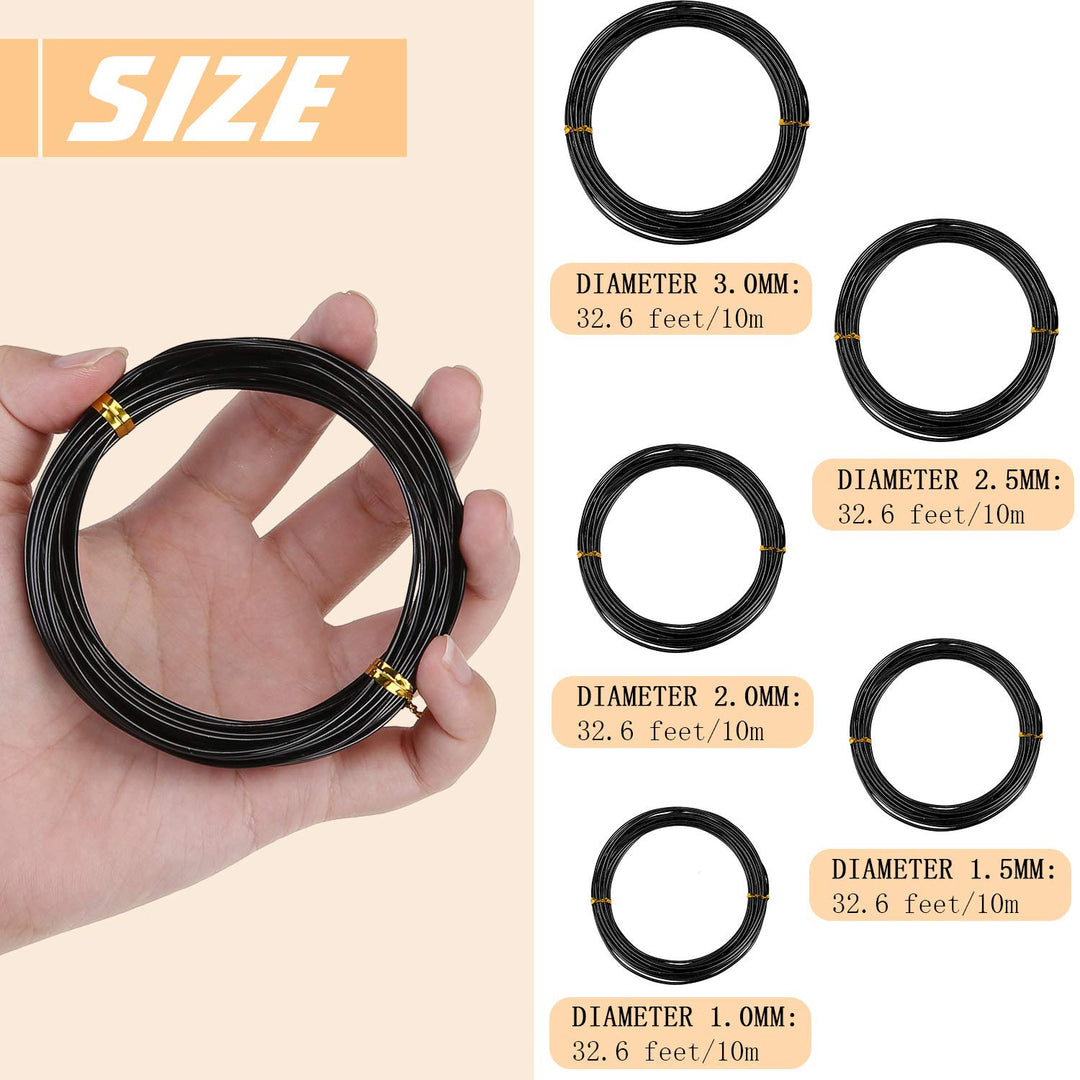 10 Rolls Bonsai Wires Anodized Aluminum Bonsai Training Wire in 5 Sizes - 1.0 mm, 1.5 mm, 2.0 mm, 2.5 mm, 3.0 mm, Total 164 Feet (Black)