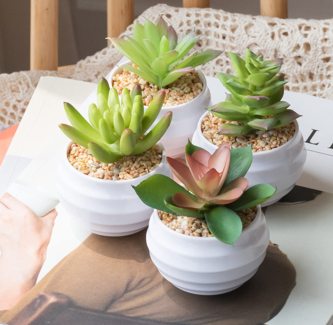 Artificial Succulent Plants in Pots, Fake Plants for Indoors, Home Garden Decor, Cactus Plants Artificial, Fake Cacti, Faux Succulents, Set of 4