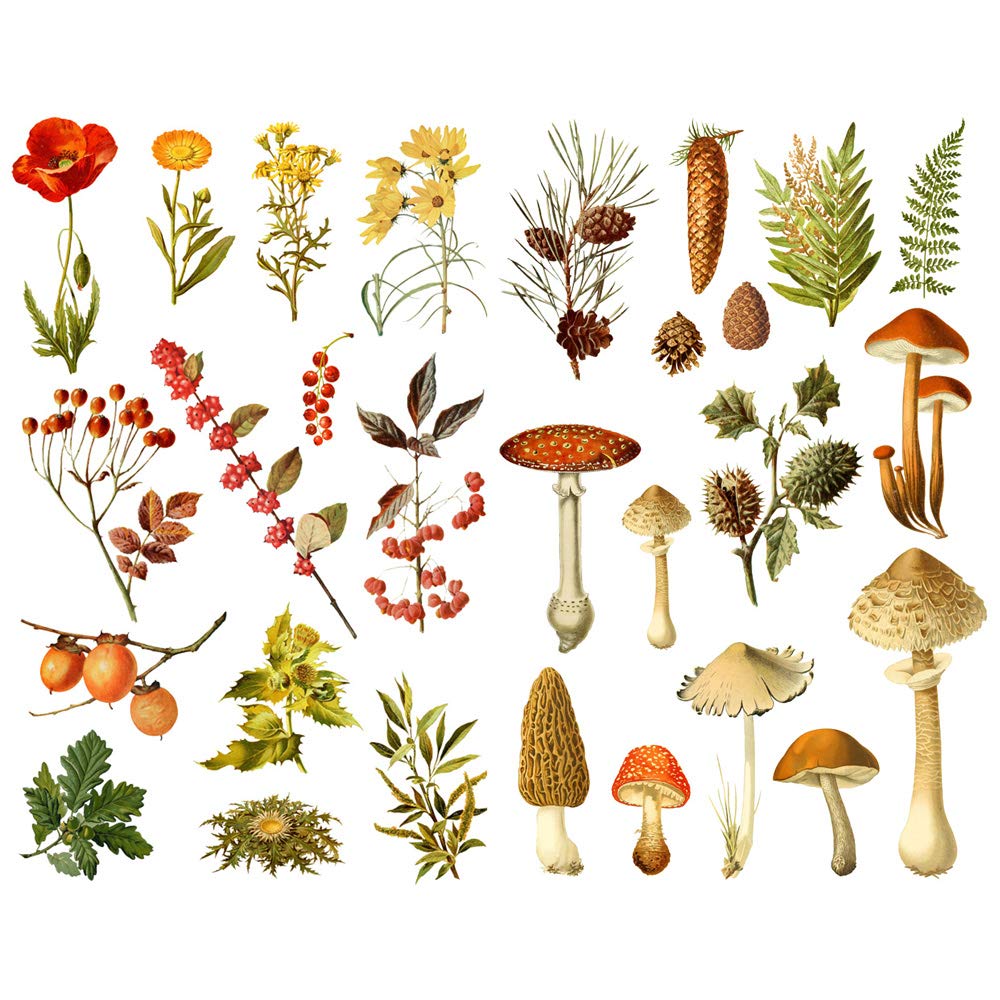 Autumn Wild Plant Kawaii Aesthetic Happy Planner Diary Journal Stationery Scrapbooking Stickers Travel Art Supplies