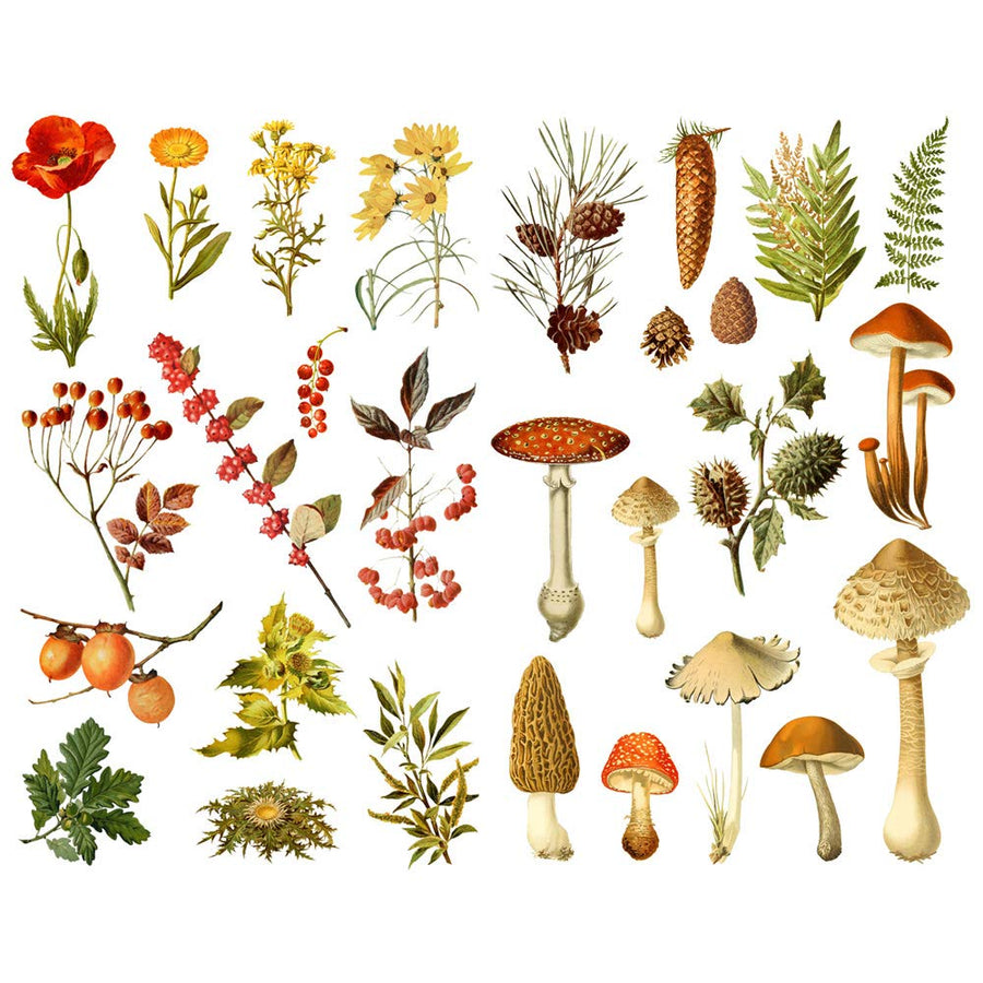 Autumn Wild Plant Kawaii Aesthetic Happy Planner Diary Journal Stationery Scrapbooking Stickers Travel Art Supplies