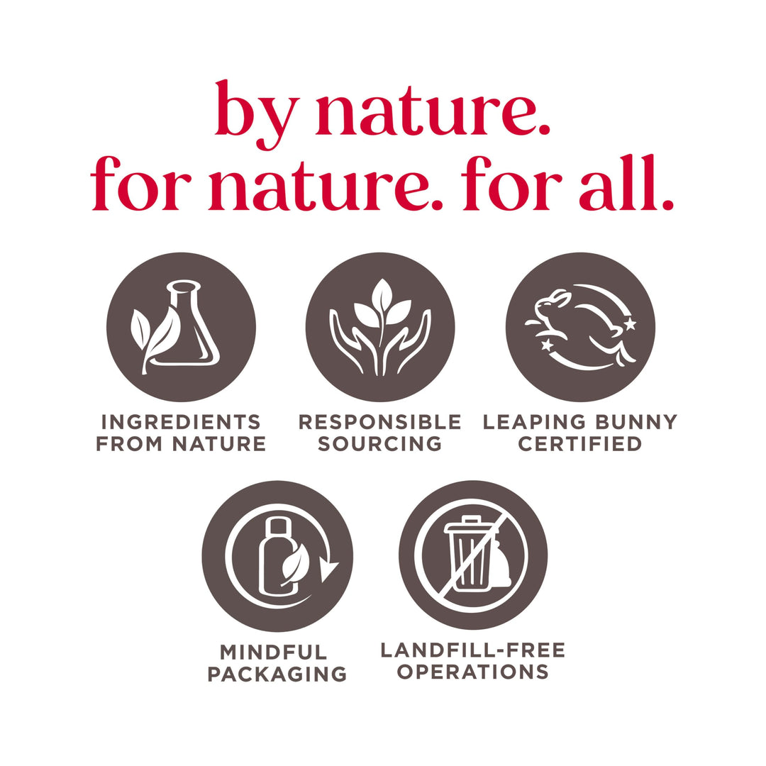 Burt&#39;s Bees 100% Natural Conditioning Lip Scrub with Exfoliating Honey Crystals - 0.25 Ounce