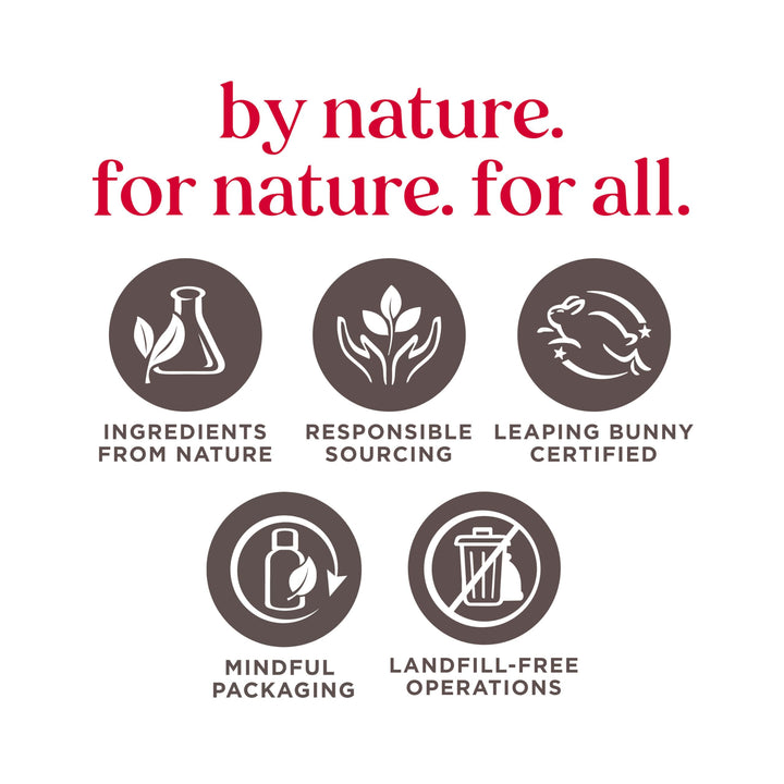 Burt&#39;s Bees 100% Natural Conditioning Lip Scrub with Exfoliating Honey Crystals - 0.25 Ounce