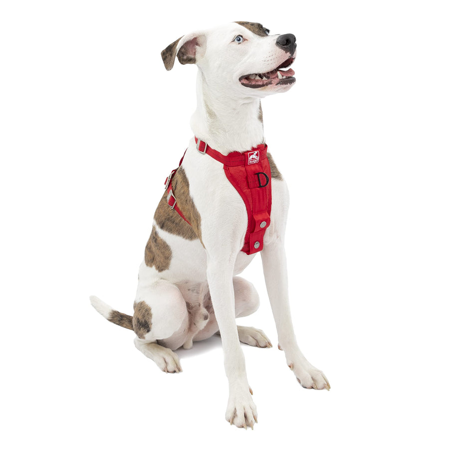 Tru-Fit Enhanced Strength Dog Harness - Certified Crash Tested Car Safety Harness for Dogs - Metal Buckles, Padded Chest - Includes Pet Seatbelt - No Pull Training - Red, Large