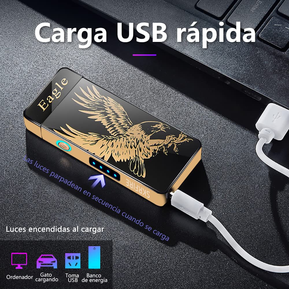 Dragon Lighter Plasma Lighter USB Rechargeable Electric Lighter Outdoor Windproof Fashionable and Cool Lighter with Beautiful Gift Box (Dragon)