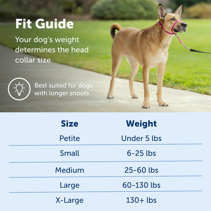 Gentle Leader No-Pull Dog Headcollar - The Ultimate Solution to Pulling - Redirects Your Dog&#39;s Pulling for Easier Walks - Helps You Regain Control - Medium, Royal Blue