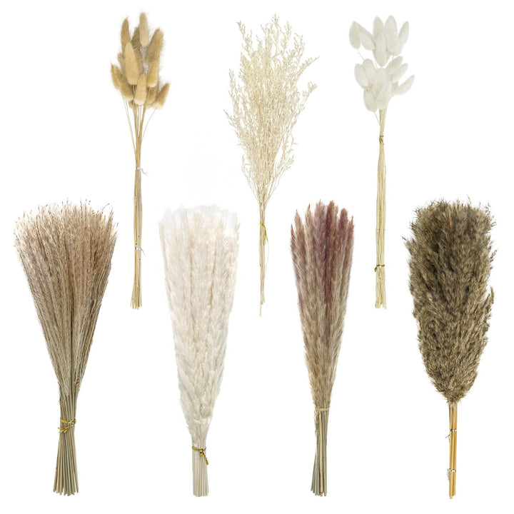 Dried Pampas Grass Decor 145 PCS 17Inch 43cm Natural Dried Pampas Grass Bouquet Boho Home Decor Bunny Tail Grass Brown Rabbit Pampas Reed Grass Fluffy Stem White Pompous Plants Decor Flower