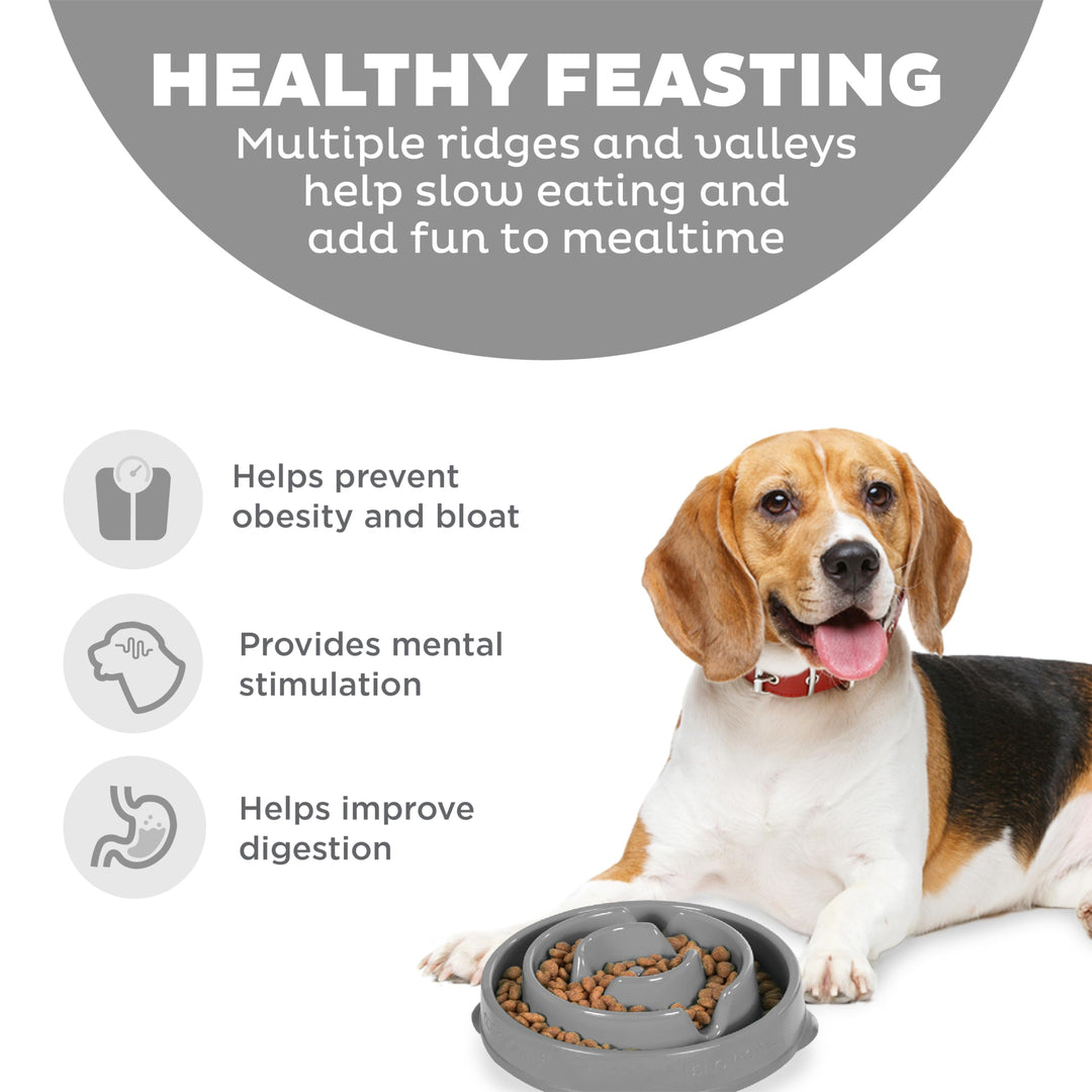 Fun Feeder Slo Bowl, Medium Slow Feeder Dog Bowl, 2 Cups, Gray