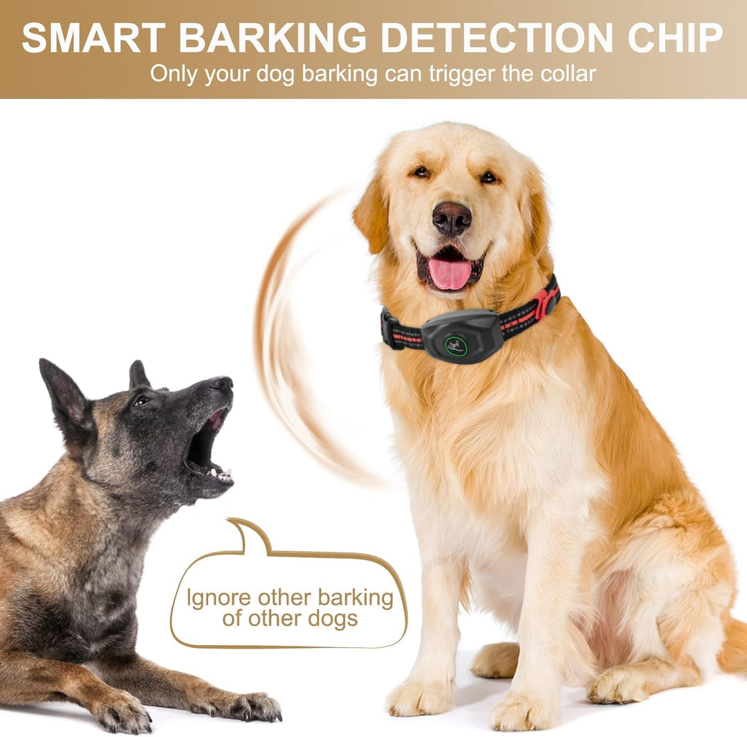 Dog Training Collar - 2 in 1 Rechargeable Remote Dog Shock Anti-Bark Collar w/3 Training Modes, Beep, Vibration, Shock 100% Waterproof, Up 1300Ft Range for Small Medium Large Dogs (Black + Orange)