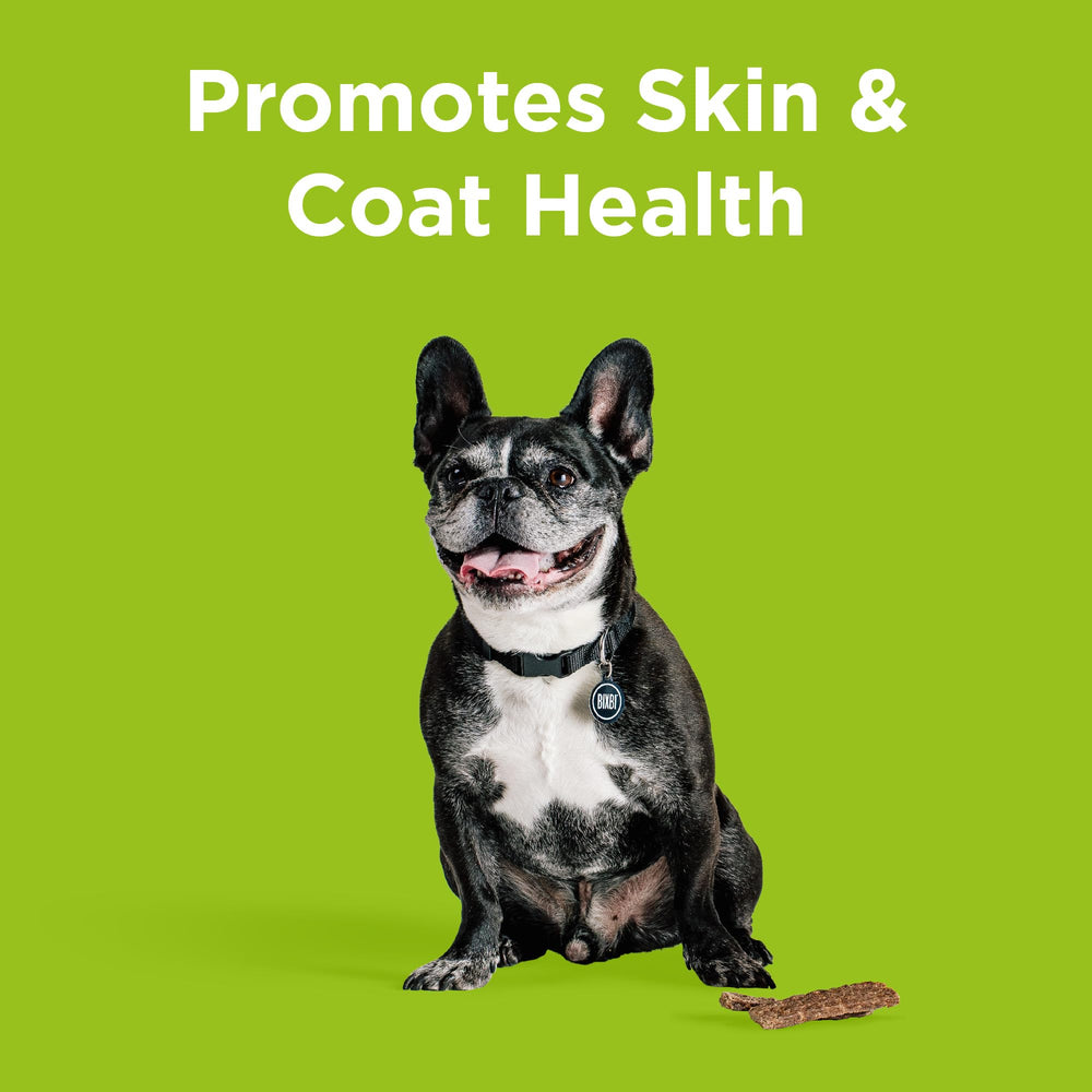 Skin & Coat Support Chicken Jerky Dog Treats, 12 oz - USA Made Grain Free Dog Treats - Antioxidant Rich to Support Shiny, Full Bodied Coats - High in Protein, Whole Food Nutrition, No Fillers
