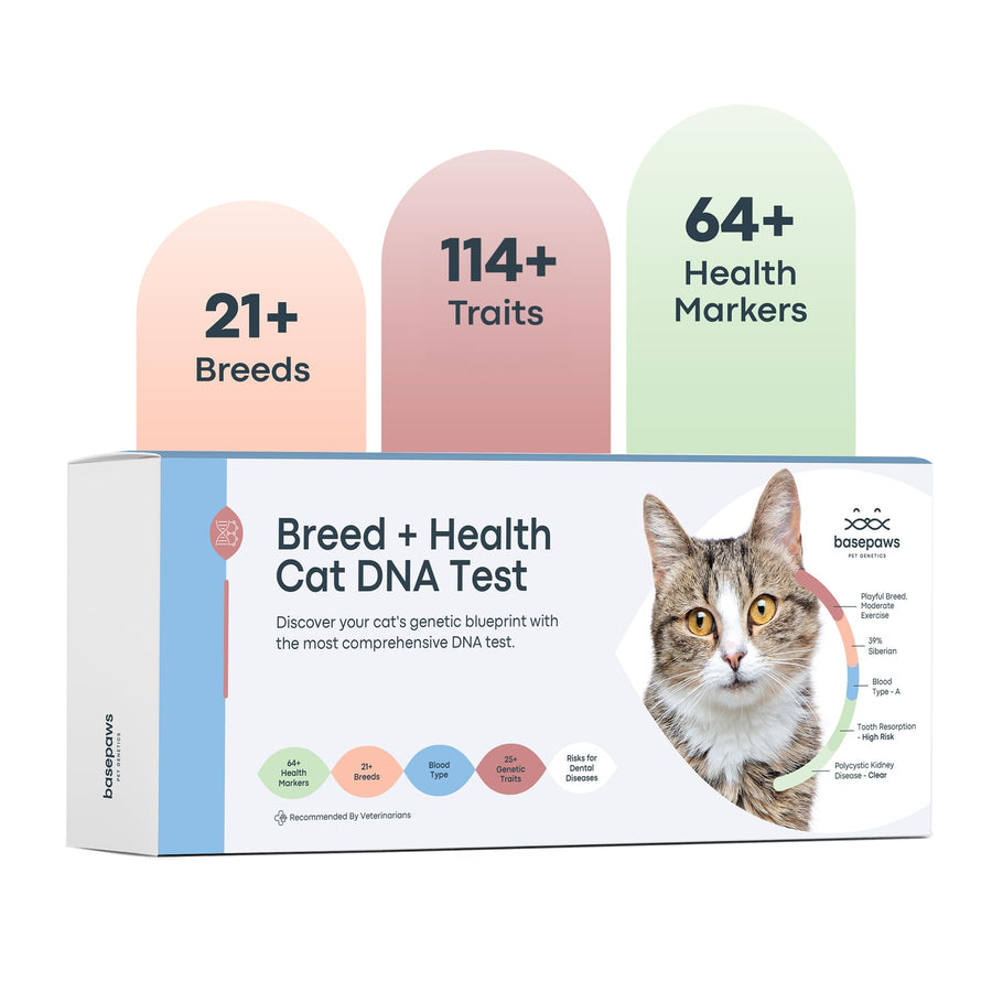 Cat DNA Test Kit - Comprehensive Breed, Health and Dental Analysis Across 114 Traits for Accurate and Easy-to-Use Genetic Insights