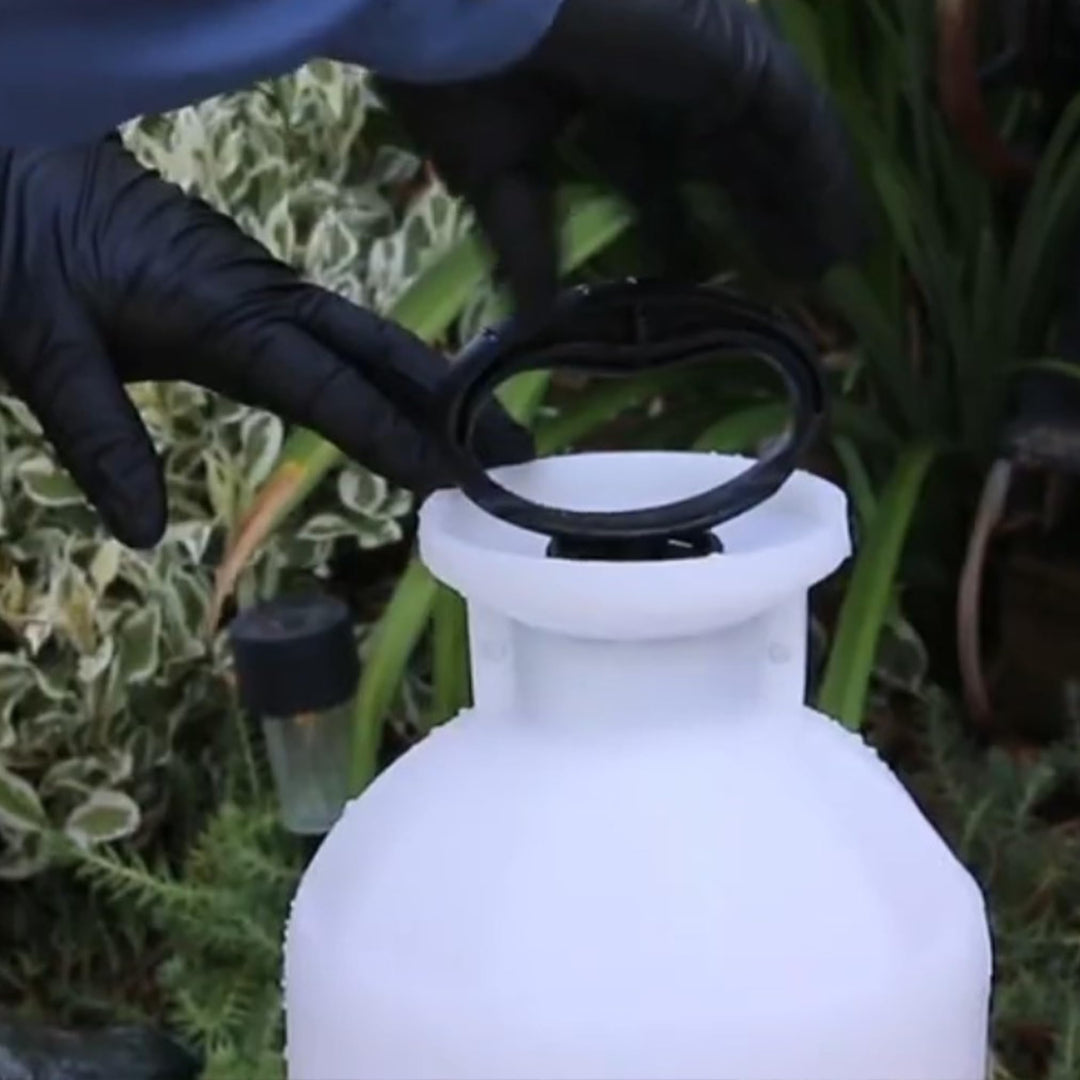 Chapin 20020 2-Gallon SureSpray Sprayer For Fertilizer, Herbicides and Pesticides