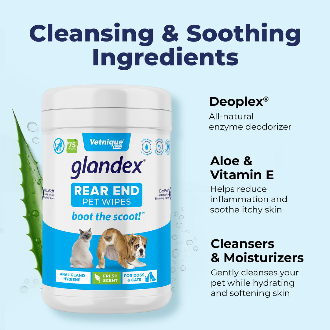 Labs Glandex Dog Wipes for Pets Cleansing &amp; Deodorizing Anal Gland Hygienic Dog &amp; Cat Wipes with Vitamin E, Skin Conditioners and Aloe (75ct)