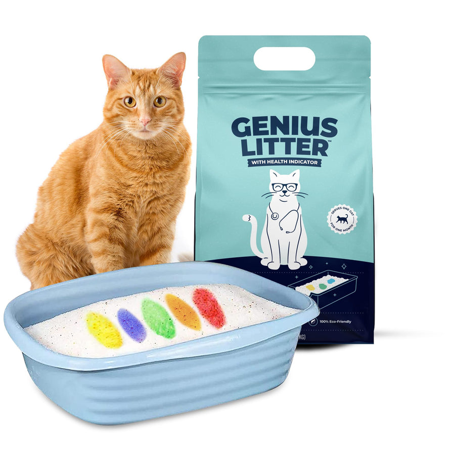 Health Indicating Cat Litter with Non-Clumping Lightweight Color Changing Silica Gel Crystals As Seen on Shark Tank, Non Clumping, Super Absorbent Odor Control (1 Bag (6lb))