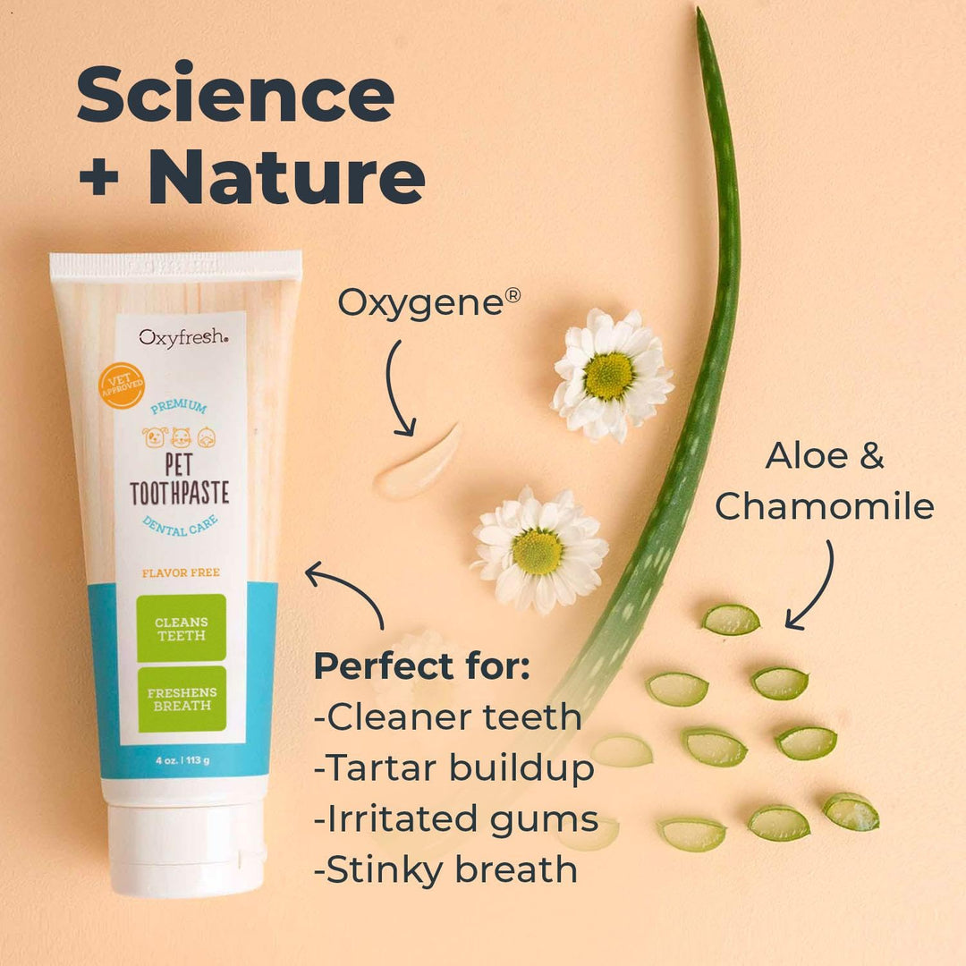 Oxyfresh Premium Dog Toothpaste – Best Dog Teeth Cleani