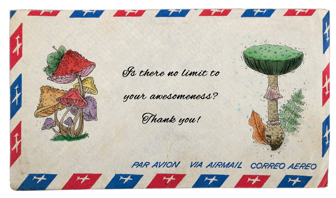 Mushroom Clear Stamps for Card Making and Photo Album Decorations, Flower Leaves Words Clear Rubber Stamps Silicone Reusable Stamp for DIY Scrapbooking Paper Craft Album Decoration