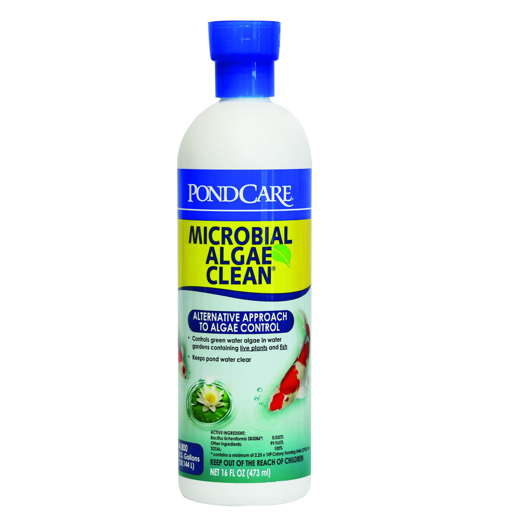 API PONDCARE MICROBIAL ALGAE CLEAN Biological Inhibitor of Green Water, Alternative approach to algae control, 16-Ounce Bottle