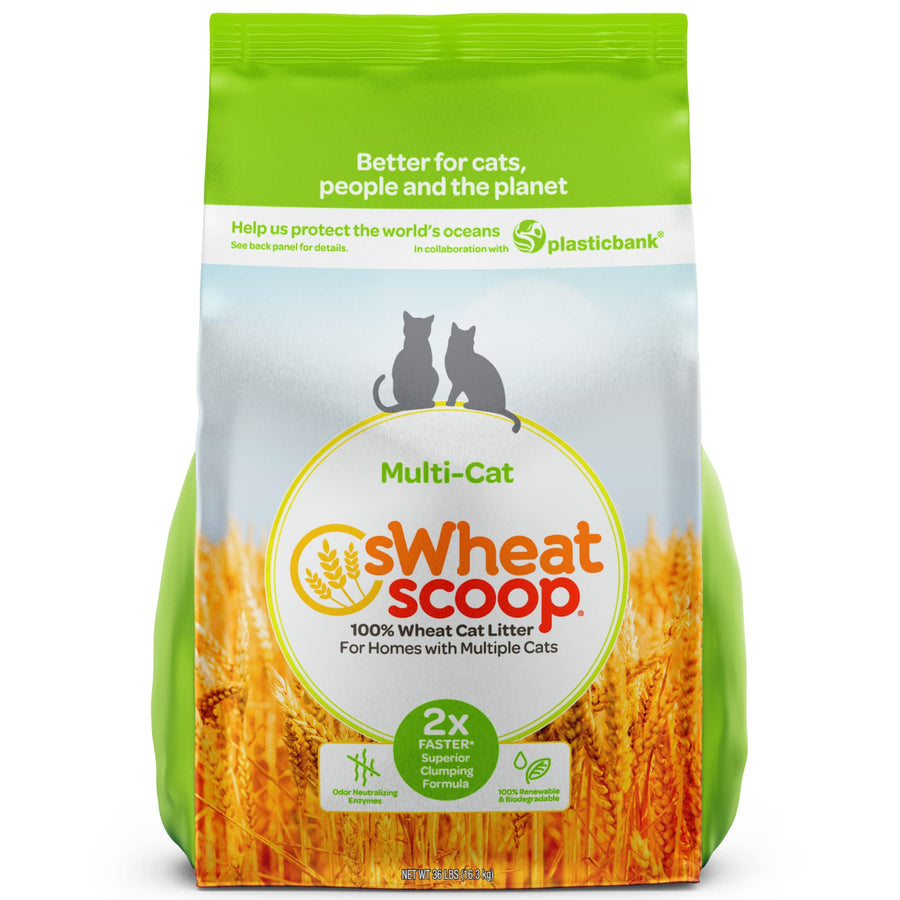 Natural Wheat Multi-Cat Litter, Superior Clumping with Odor Neutralizing Enzymes, 36 Pound Bag