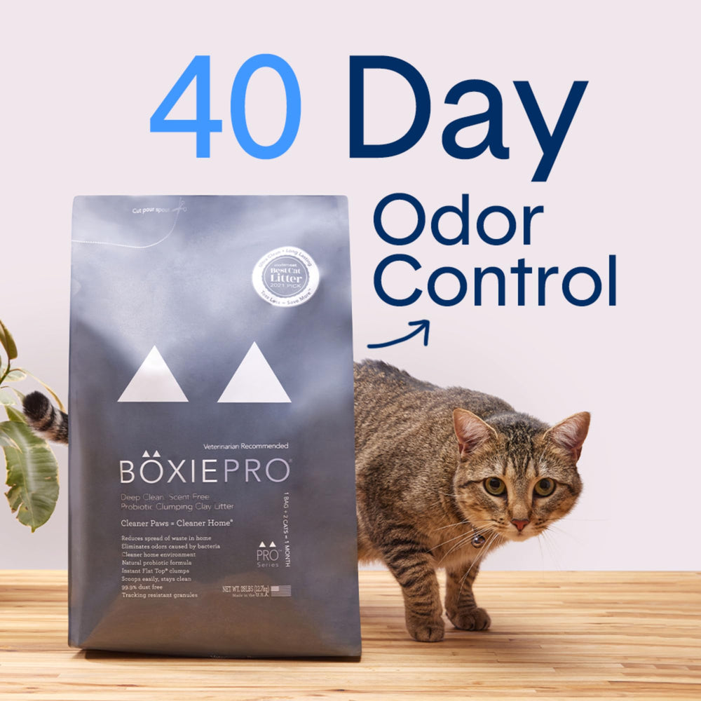 Boxie® Probiotic Cat Litter 40 Day Natural Odor Control, 16lb Clumping Kitty Litter (Clay)