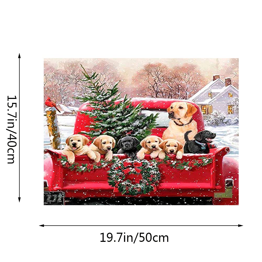 Kimily DIY Paint by Numbers for Adults Kids Christmas T