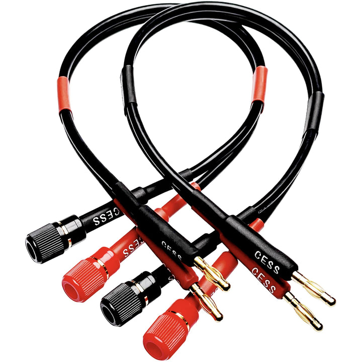 CESS-030-1f Banana Plug to Binding Post &amp; Banan