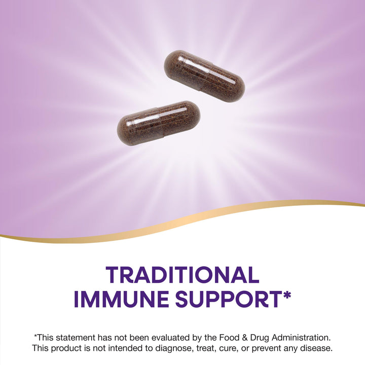 Nature&#39;s Way Black Elderberry Supplement, Tradi