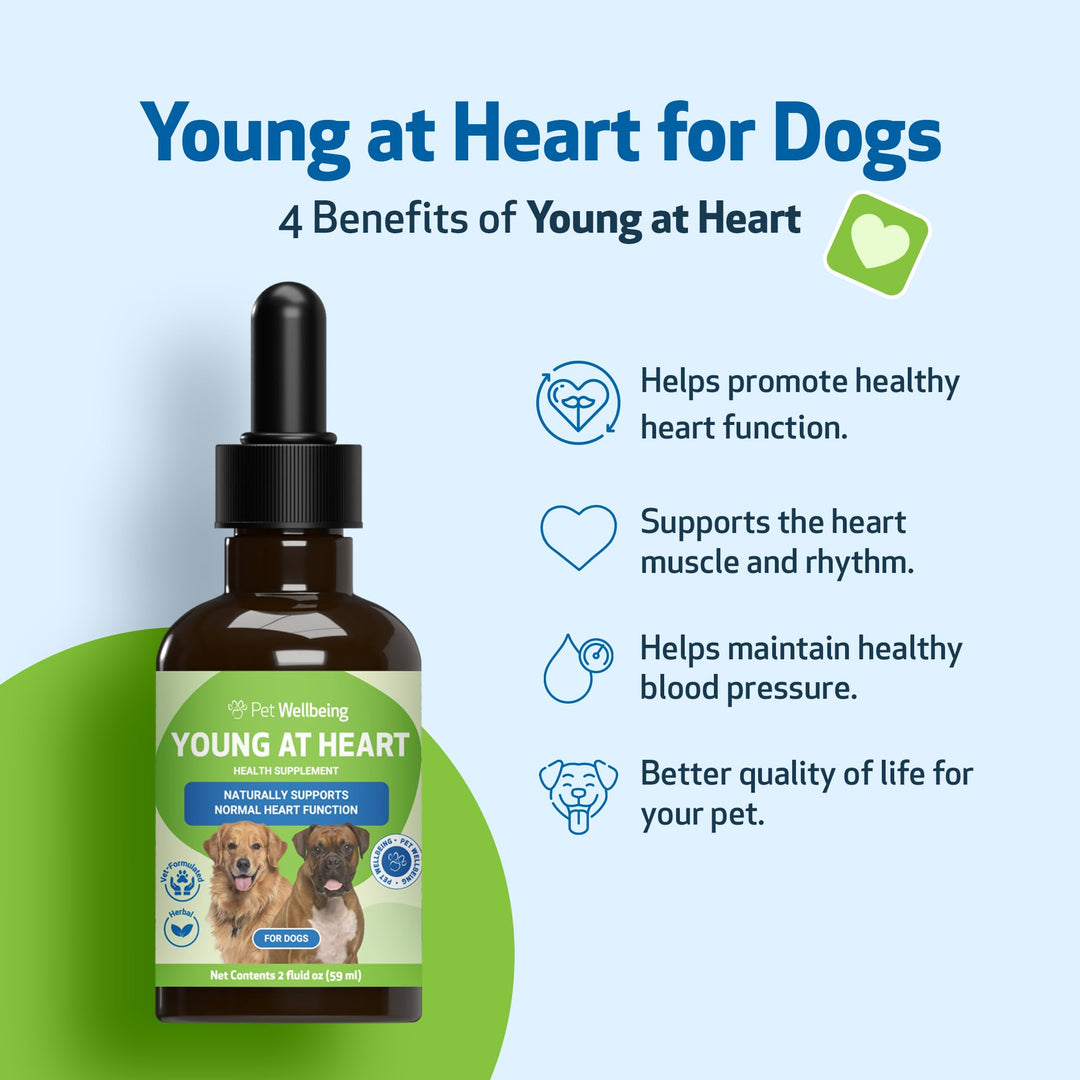 Young at Heart for Dogs - Heart Health, Circulatory &amp; Cardiovascular System, Hawthorn, Motherwort, Schisandra - Veterinarian-Formulated Herbal Supplement 2 fl oz (59 ml)