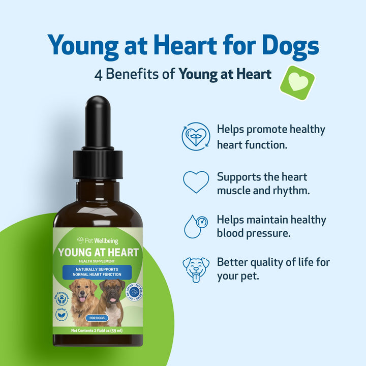 Young at Heart for Dogs - Heart Health, Circulatory &amp; Cardiovascular System, Hawthorn, Motherwort, Schisandra - Veterinarian-Formulated Herbal Supplement 2 fl oz (59 ml)