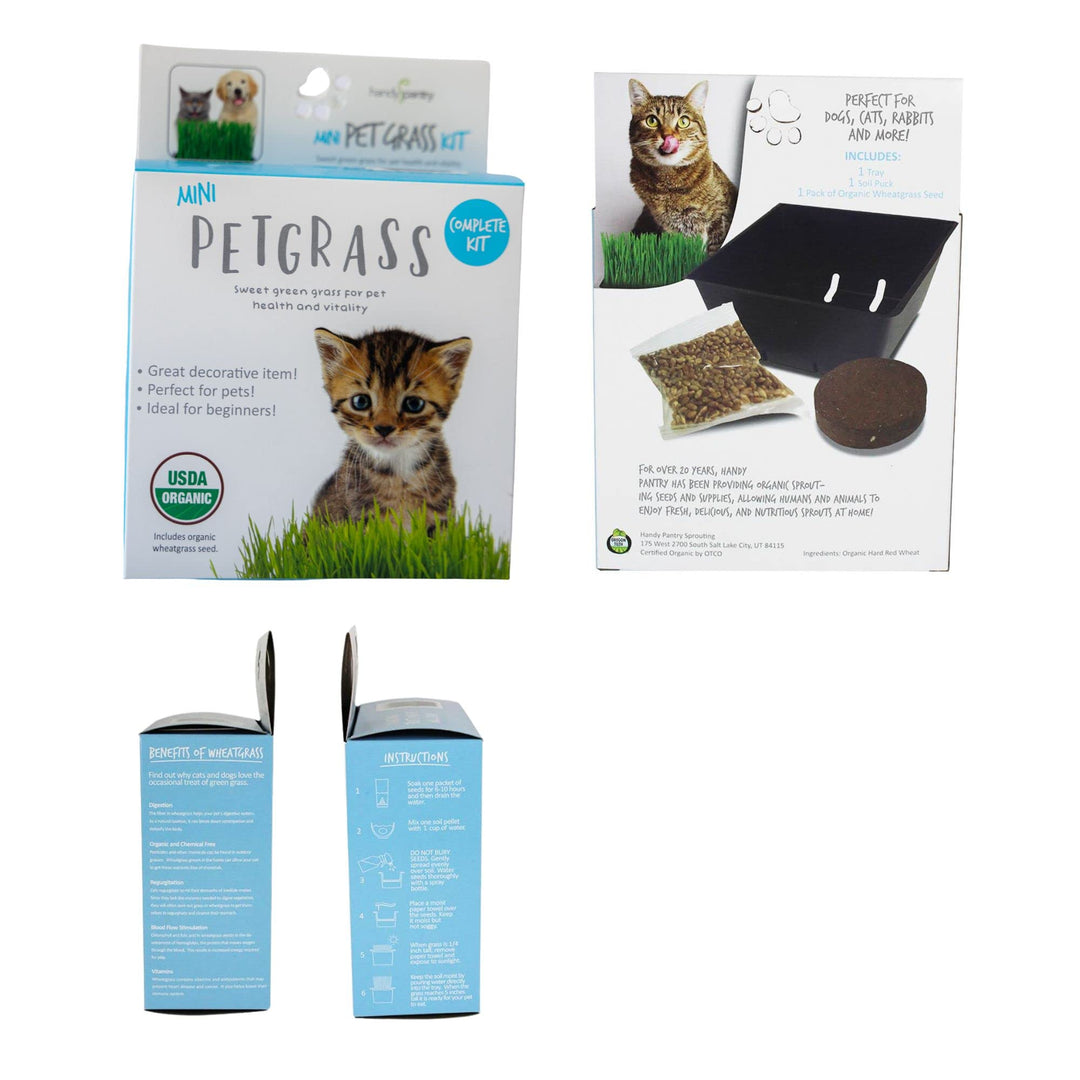 Organic Cat Grass Kit - Includes 1 Tray, 1 Soil Puck, and Non GMO Wheatgrass Seed - A Healthy Treat for Cats, Dogs, Rabbits, and More