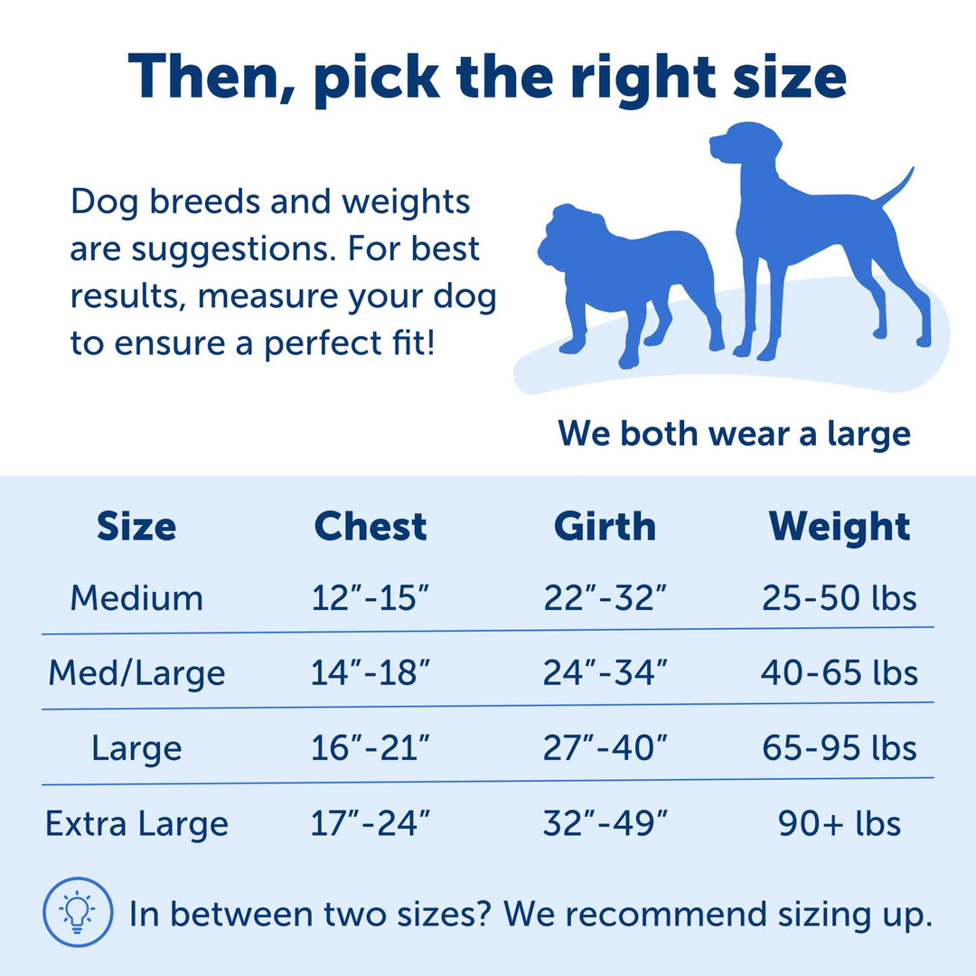 Easy Walk No-Pull Dog Harness - The Ultimate Harness to Help Stop Pulling - Take Control &amp; Teach Better Leash Manners - Helps Prevent Pets Pulling on Walks, Large, Royal Blue/Navy Blue