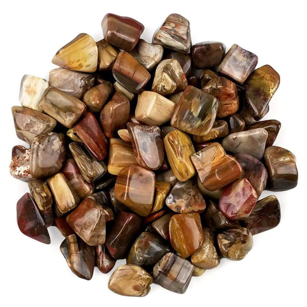 Pachamama Essentials Tumbled Petrified Wood, Petrified Wood Stone, Fossilized Wood (20-25mm) 5 Pieces