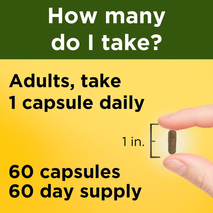 Nature Made Ashwagandha Capsules 125mg for Stress Suppo