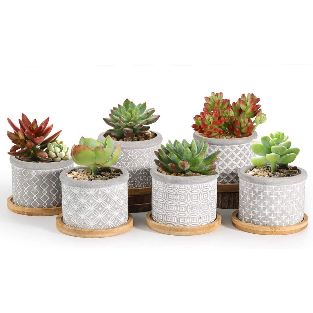 2.5 Inch Cement Succulent Pot with Bamboo Tray Set of 3, Small Grey Concrete Planter Garden Cactus Plant Herb Container for Home and Office Decoration Birthday Wedding