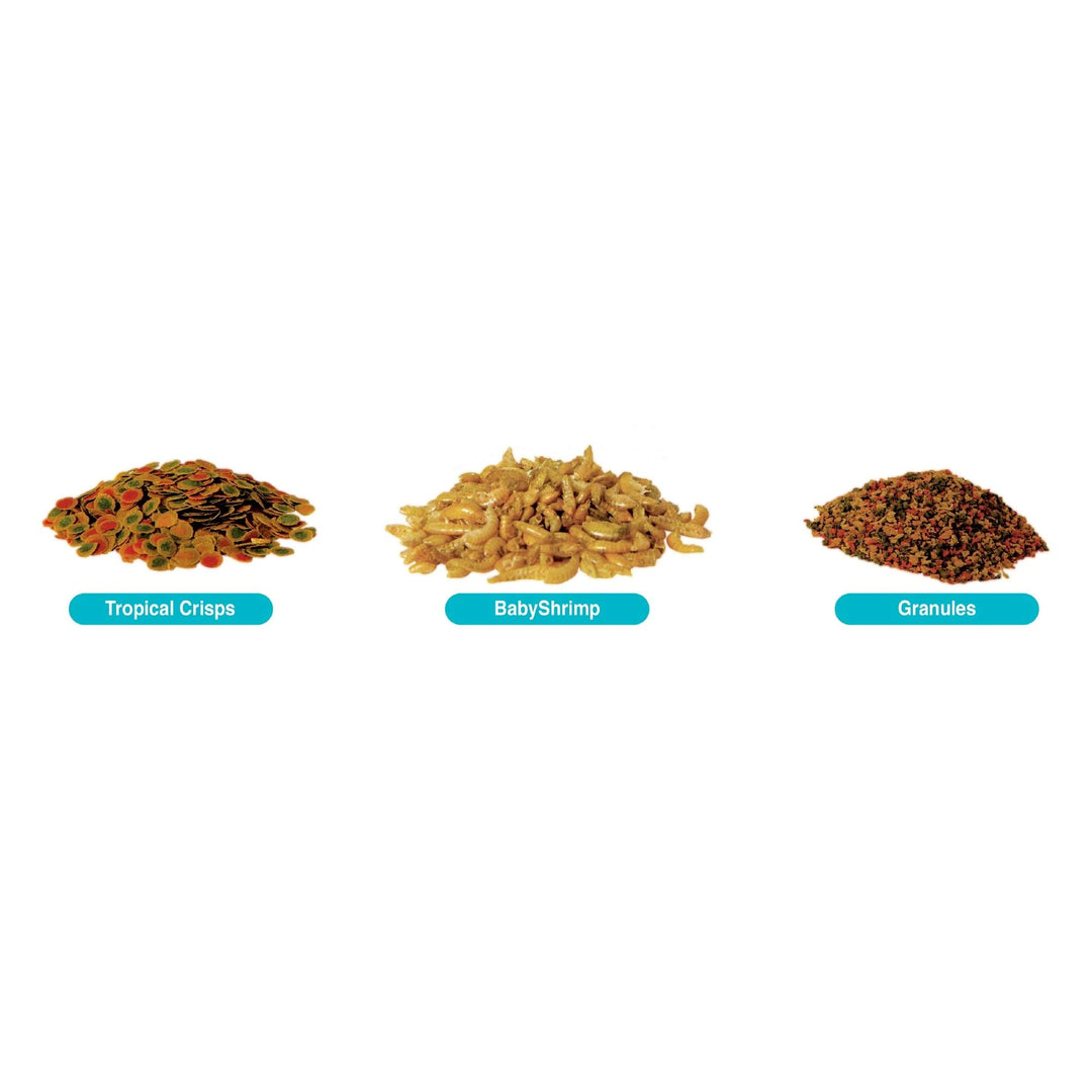 Min Crisps Select-A-Food 2.4 Ounces, Fish Food, Variety Pack (77037)