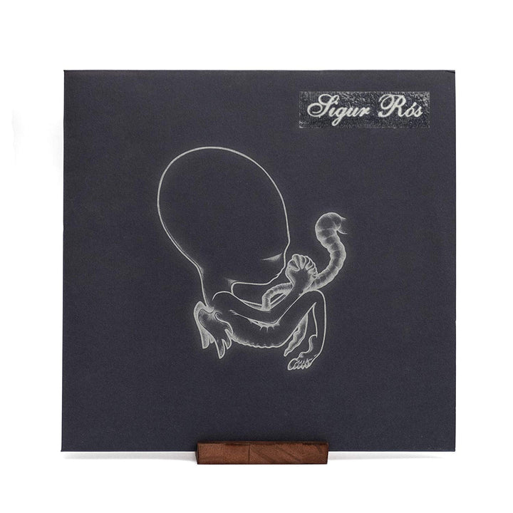 KAIU Premium Vinyl Record Stand - Showcase Your Now Pla