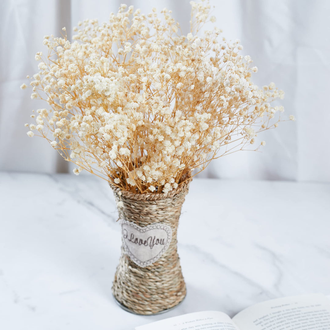 Preserved Baby&#39;s Breath 3 Bunches, 100% Natrual Fresh Gypsophila Long Lasting Flowers for Vase Arrangements Home Decoration Photo Props Parties and Weddings, DIY Décor-White