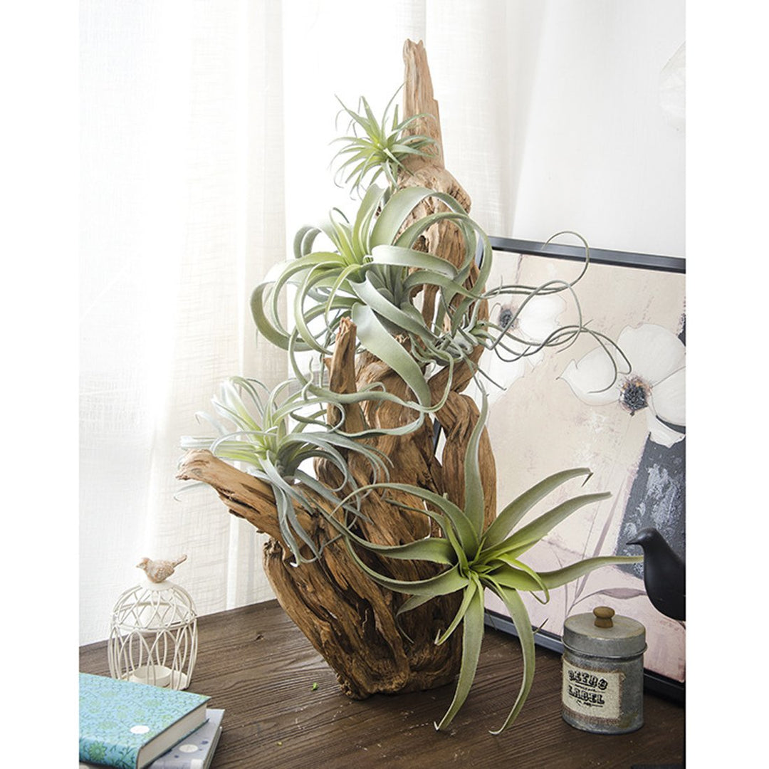 ZJCilected 2PCS Artificial Flocking Tillandsia Air Plan