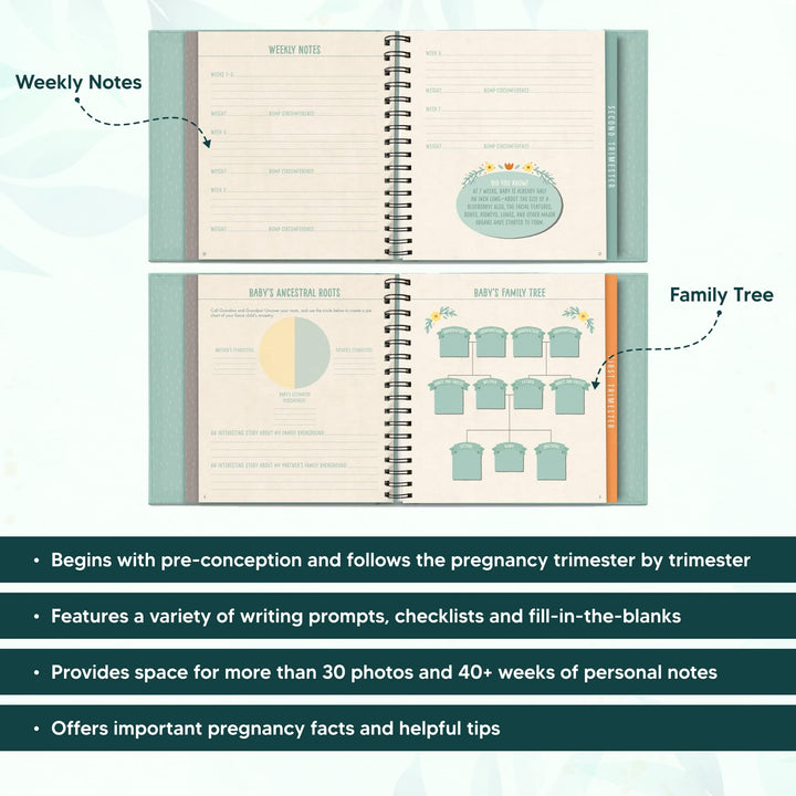 Guided Pregnancy Journal - Bump for Joy - 9 x 9 - Beautifully Illustrated Hardcover Journal with Storage Pockets Creates a Keepsake of Maternity Memories