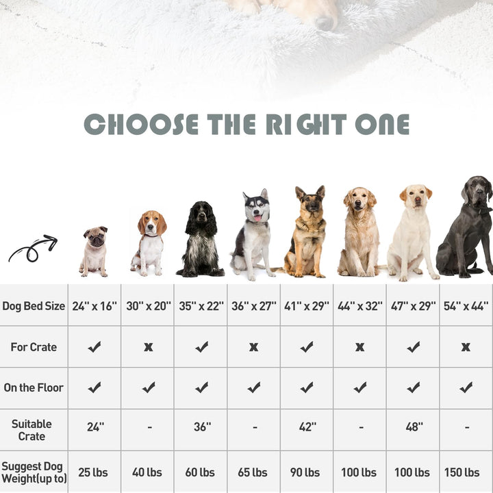 Large Dog Bed, Orthopedic Egg Crate Foam Dog Bed with Removable Washable Cover, Waterproof Dog Mattress Nonskid Bottom, Comfy Anti Anxiety Pet Bed Mat, 35x22 inch, Gray