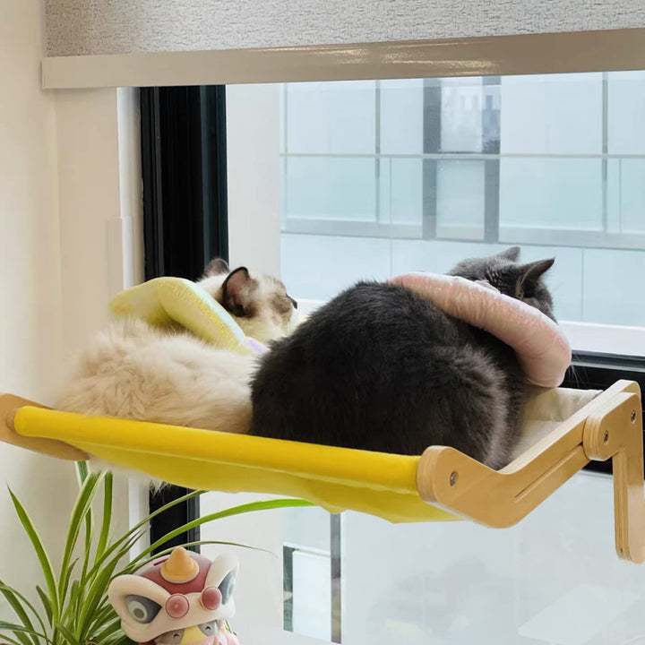 Cat Window Perch Cat Window Hammock Seat for Indoor Cats Sturdy Adjustable Steady Cat Bed Providing All-Around Sunbath Space Saving Washable Holds Up to 40 lbs