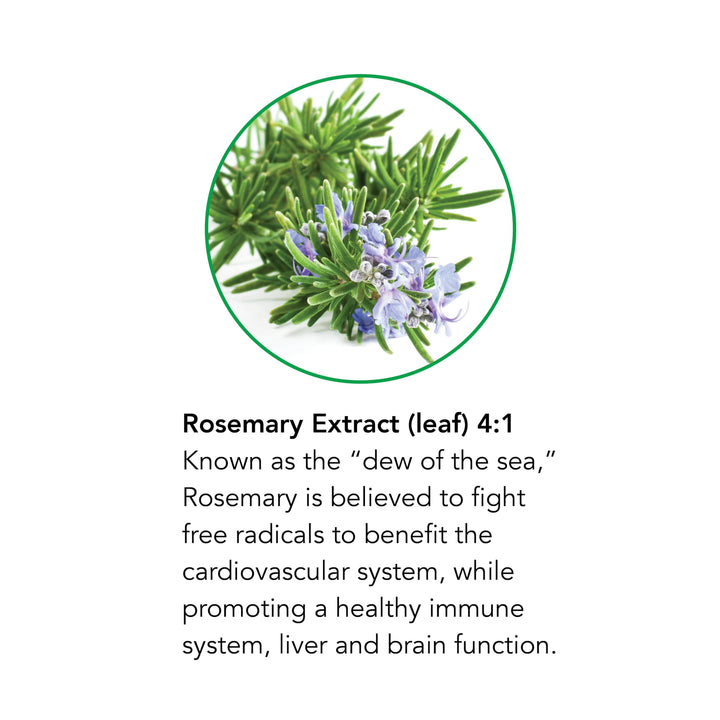 Botanic Choice Liquid Extract, Rosemary Leaf, 1 Fluid O