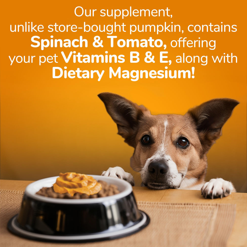 Pumpkin Digestive Supplement | Made with Pumpkin for Dogs | Healthy Fiber Supplement for Pet Nutrition | 15 ounces